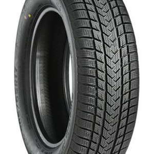 215/50R17 95V Gripmax Suregrip Ewinter