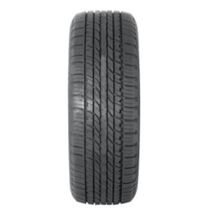 225/70R16 103T Double Star Ds01
