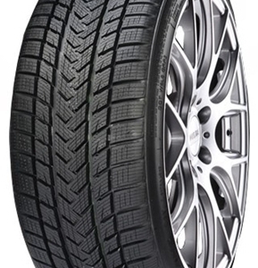 205/50R17 93V Gripmax Pro Winter